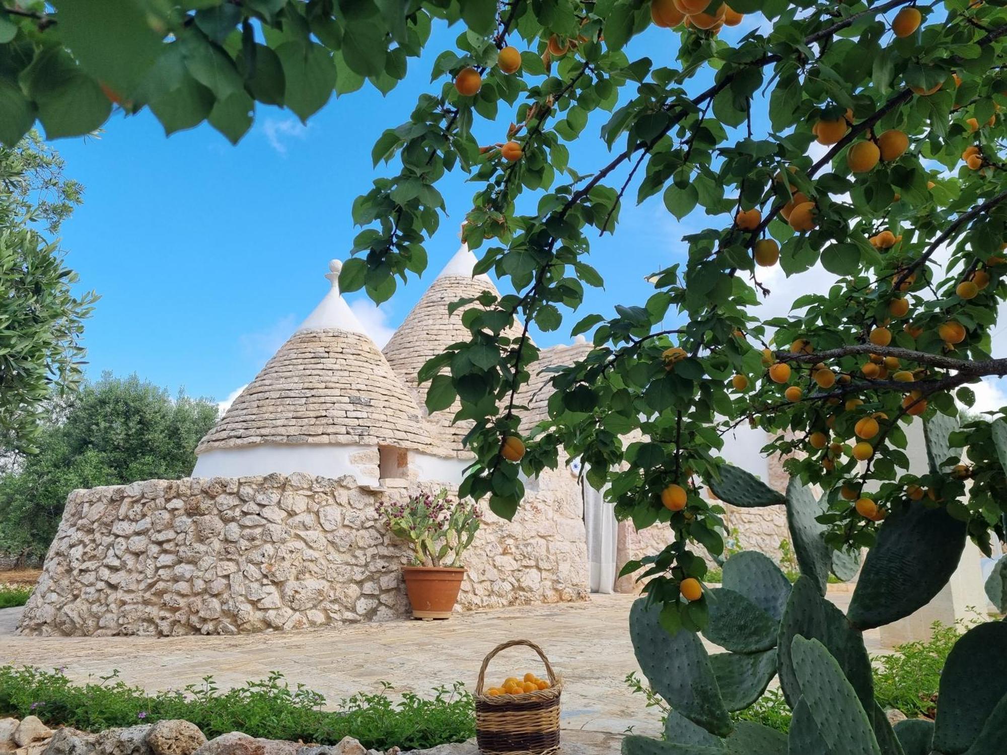 Trulli Di Spinaruta Bed and Breakfast Grottaglie Exteriör bild